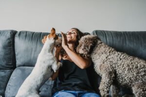 The Power of Play: Why Dog Daycare is Great for Your Pet’s Health